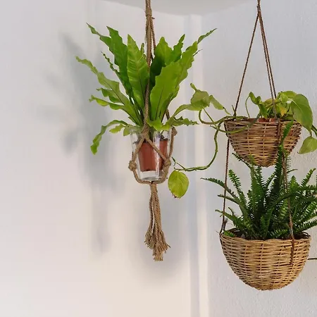 Rural Ariadna * غيمار