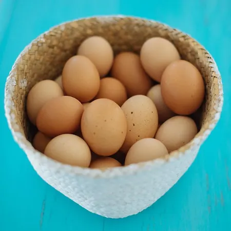 Rural Ariadna * غيمار