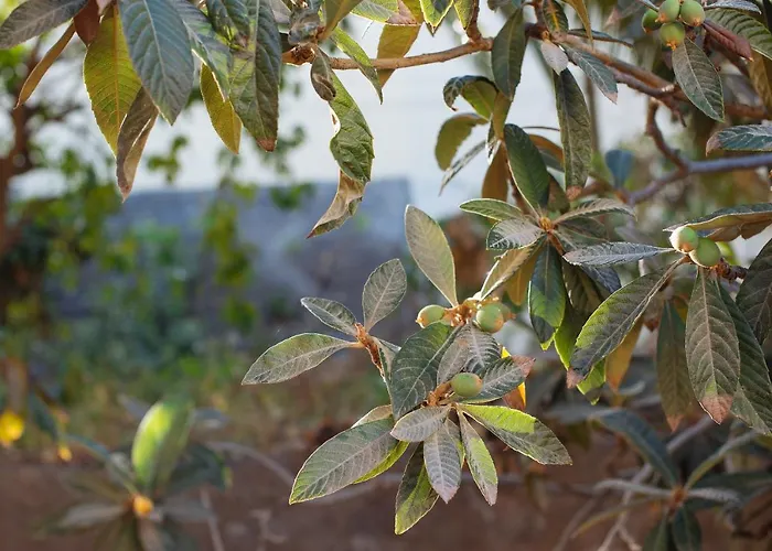 Rural Ariadna Landhaus