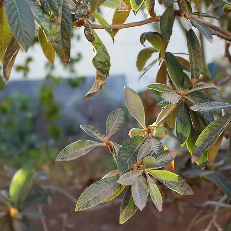 Rural Ariadna 컨트리하우스