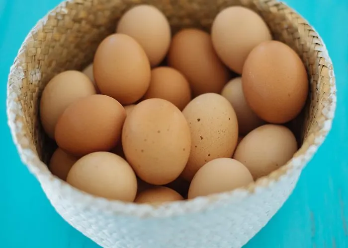 Rural Ariadna * Güimar