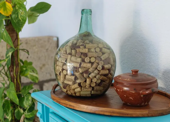 Gospodarstwo wiejskie Rural Ariadna Güimar